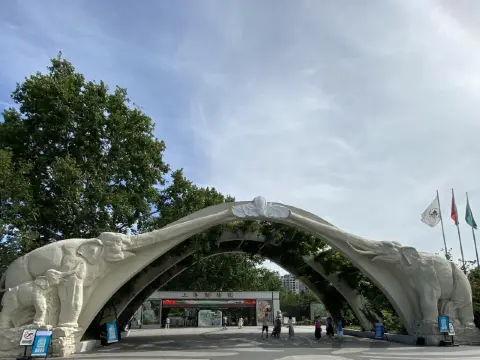 比較上海迪士尼，遛娃更值得去的地方- 上海動物園🐯🐼