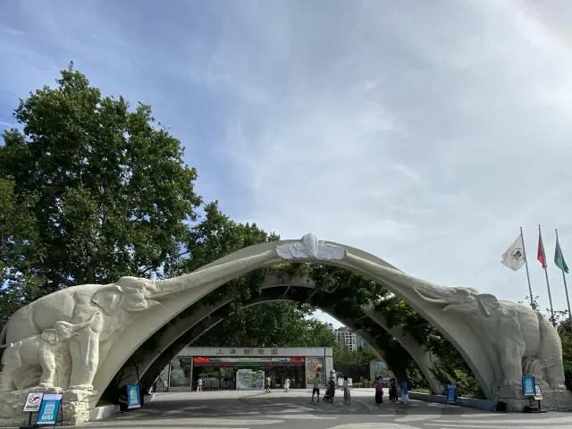 Compared to Shanghai Disneyland, a better place to take the kids is Shanghai Zoo