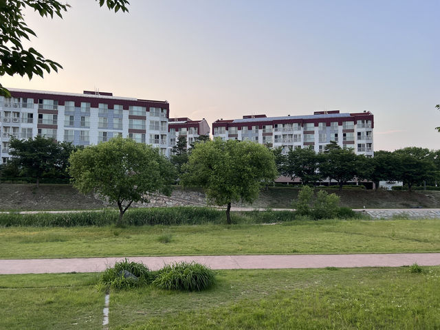 금오천 산책로 함께 걸을래요? 
