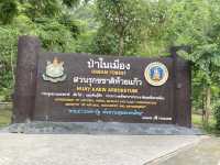 เที่ยวป่าในเมือง สวนรุกขชาติเชียงใหม่