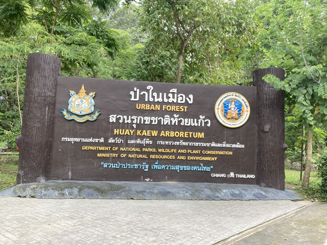 เที่ยวป่าในเมือง สวนรุกขชาติเชียงใหม่