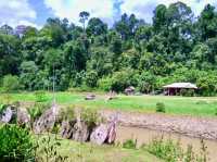 A Village Between the Trees: Living Local in Sungai Lembing