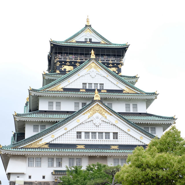 โอซาก้าในเดือนพฤษภาคม 🎌🏯