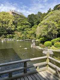 【福岡】住宅街の片隅に佇む立地な日本庭園🌱