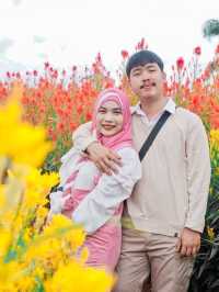 ไร่คุณอารียา (Ariya Flower Farm)