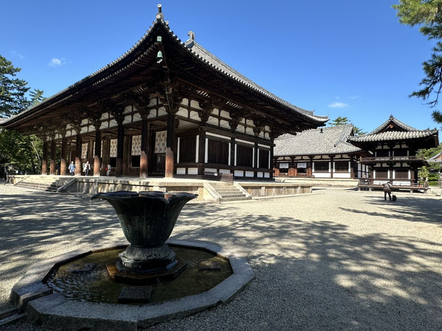 唐招提寺：探索奈良的佛教瑰寶，感受千年文化的深厚底蘊！
