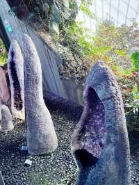 “Discover the Hidden Forest & Crystal Mountain”