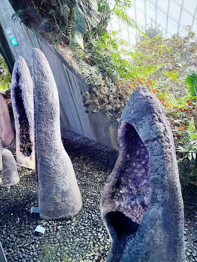 “Discover the Hidden Forest & Crystal Mountain”