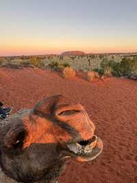 オーストラリアのど真ん中、世界遺産「ウルル（エアーズロック）」