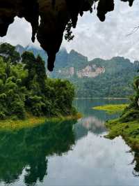 Jungle Feels & Limestone Dreams