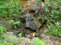 Robbers Cave State Park – Wilburton, OK