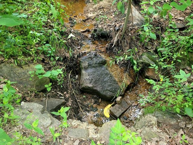 Robbers Cave State Park – Wilburton, OK