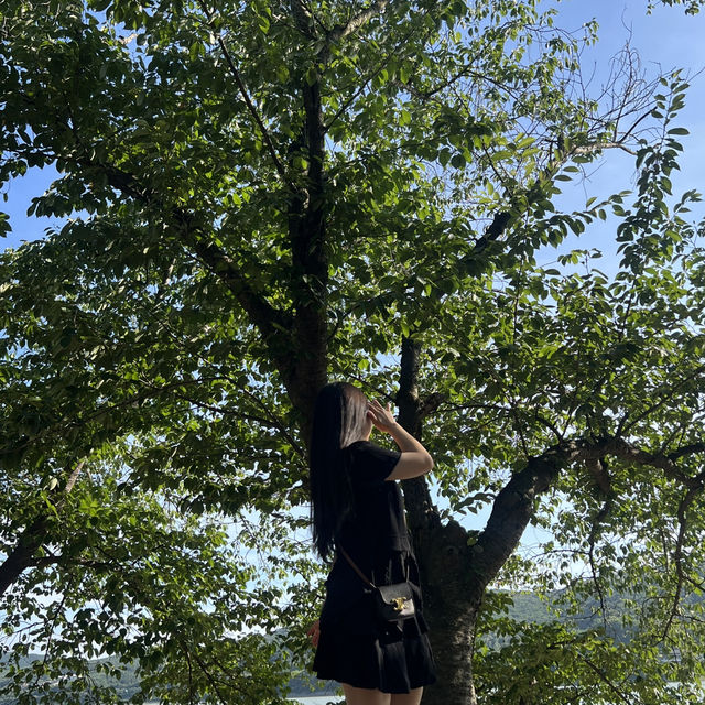 라한셀렉트 앞 산책코스💚 보문호 둘레길 야외데이트 추천