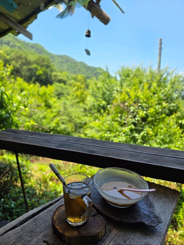 깊은 숲속 비밀스런 하동 산장카페💚