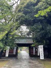 Ueno Park: A Peaceful Escape in Tokyo, Japan