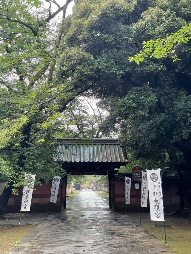 Ueno Park: A Peaceful Escape in Tokyo, Japan
