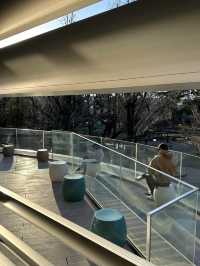 Itabashi Central Library – Tokyo’s Parkside Knowledge Oasis  