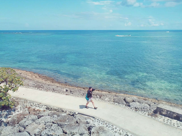 日本でここだけ！海越えジップライン🏖️