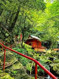 🏞️ เดินป่าชิล ๆ ใกล้โอซาก้า