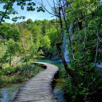 Crystal Waters & Canyon Thrills: A Day at Zrmanja River