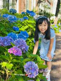 最新Miffy主題樂園