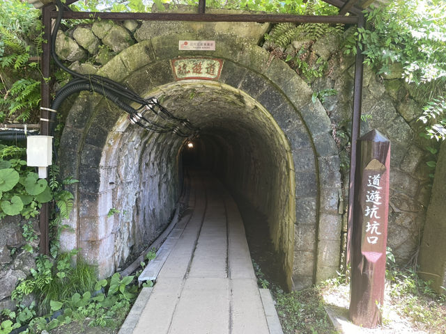 摸下真既金 佐渡既象徵！