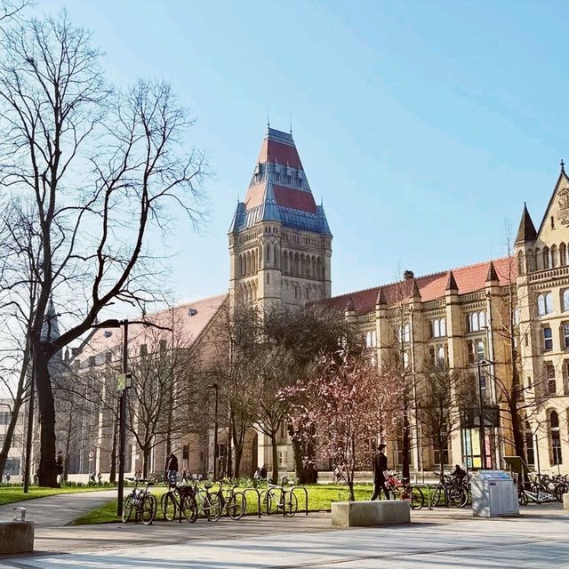 The university of manchester