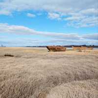 Fleetwood Boat Wrecks