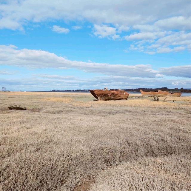 Fleetwood Boat Wrecks