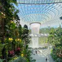 😋Bites & Sights - Singapore in 48 hours ! 🇸🇬