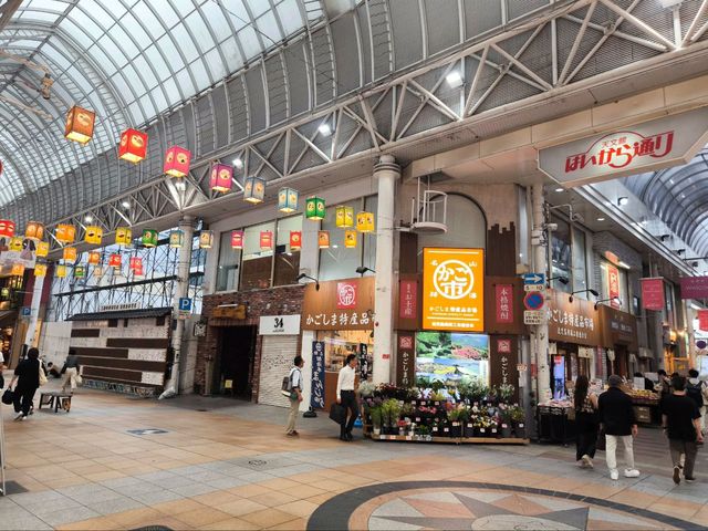 kogoshima city 