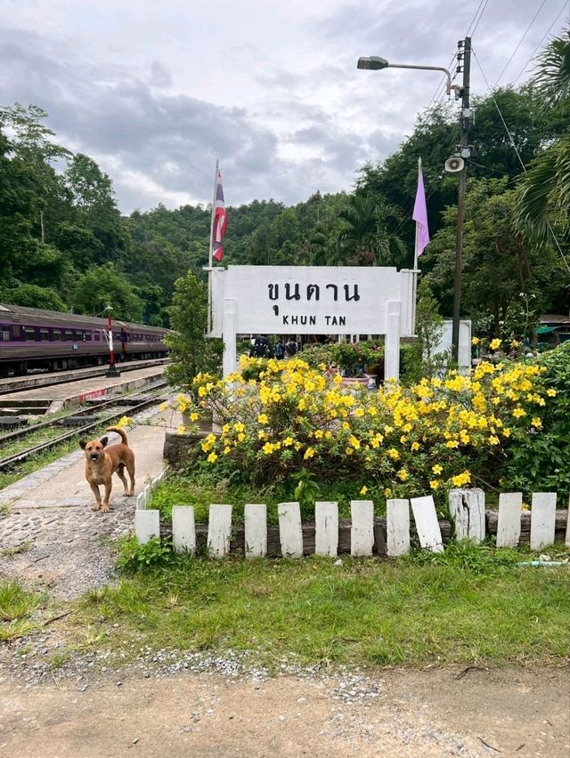 สถานีรถไฟขุนตาน จ.ลำพูน จ.ลำปาง