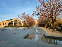 Parque Central Is Valencia’s Secret Green Spot