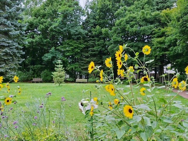 世界的庭園-百合之原公園