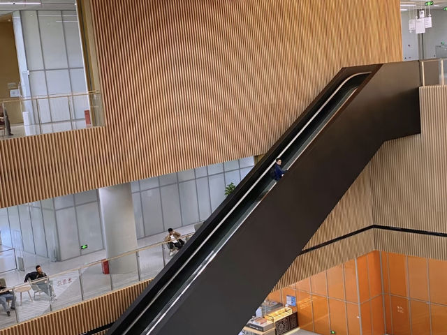 Shanghai Library East: A Hidden Gem for Book Lovers! 📚✨