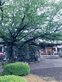 【東京都　北区　芥川龍之介ゆかりの地・田端の坂道と寺社の数々。赤紙仁王尊】
