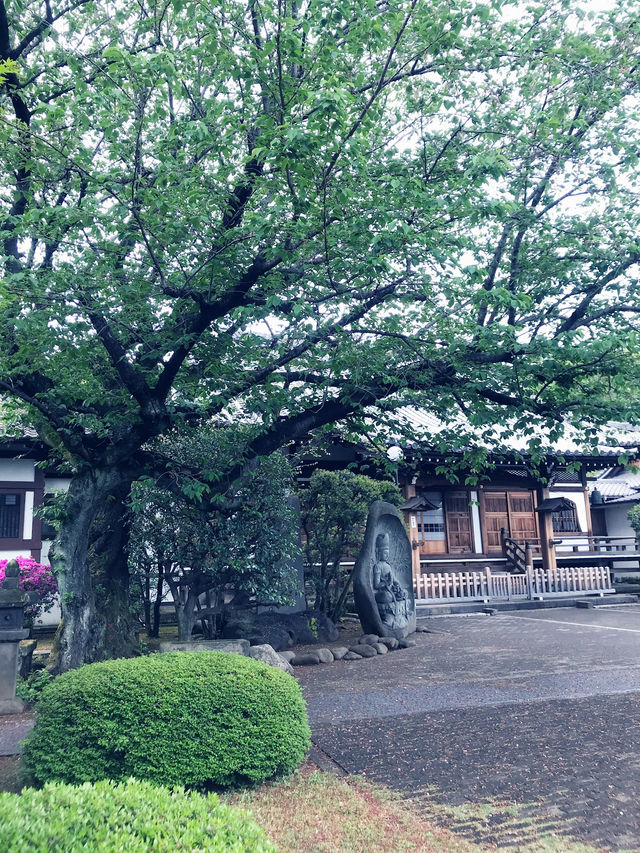 【東京都　北区　芥川龍之介ゆかりの地・田端の坂道と寺社の数々。赤紙仁王尊】