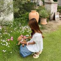 คาเฟ่เปิดใหม่ราชบุรี น่ารักมาก ⛲️🌸