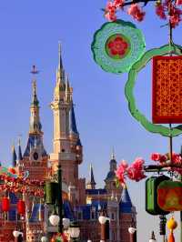 The Dream That Towers Above: Inside Disney’s Most Magical Castle