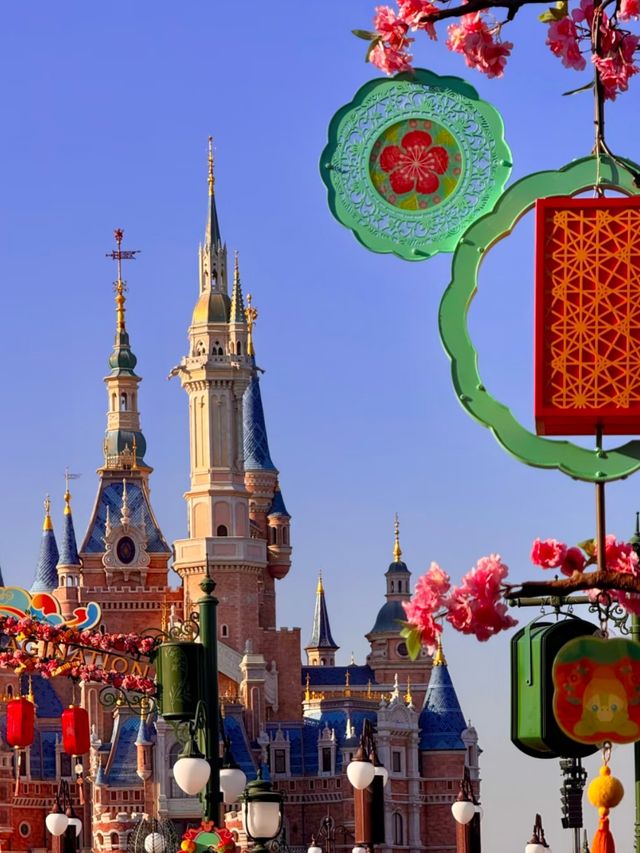 The Dream That Towers Above: Inside Disney’s Most Magical Castle