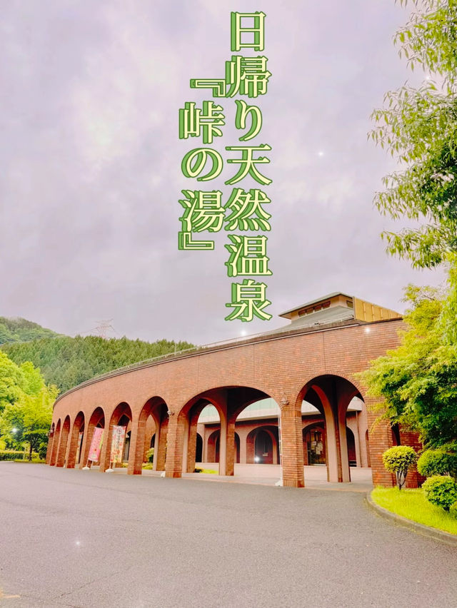 【群馬】大自然ど真ん中!!トロッコ列車で行く🚂とろとろ美肌日帰り温泉