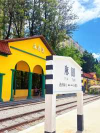 🌤️Sunny Day in Kunming – Vintage Charm Meets Hipster Vibes!