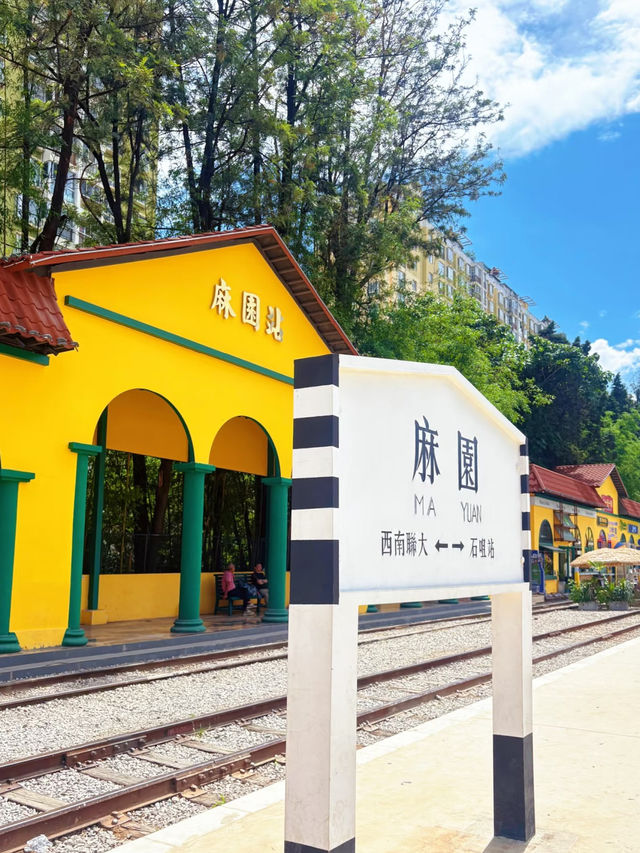 🌤️Sunny Day in Kunming – Vintage Charm Meets Hipster Vibes!
