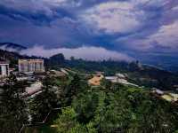 Cameron Highland
