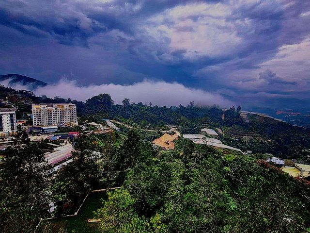 Cameron Highland