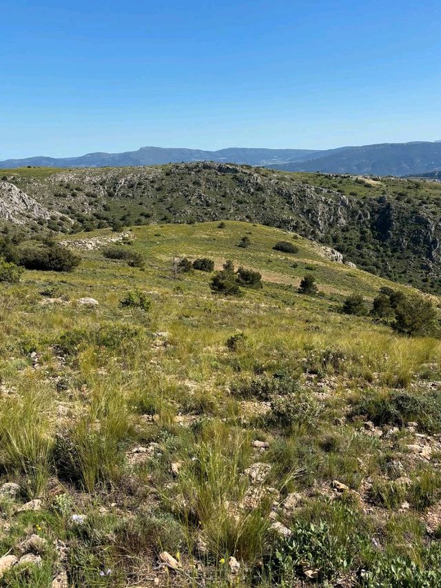 Chasing Views and Mountain Vibes at Montcabrer
