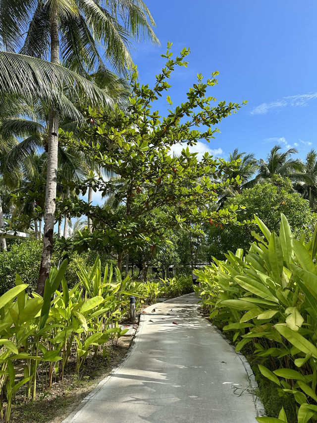 A Blissful Escape at The Residence Bintan 🇮🇩