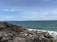 ☀️🌴 Escape to Paradise: Coral Island Adventure 🌊🐠