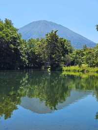 羊蹄山の麓に湧く、いつも変わらぬ清らかな名水🌿💧
