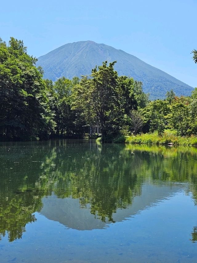 羊蹄山の麓に湧く、いつも変わらぬ清らかな名水🌿💧